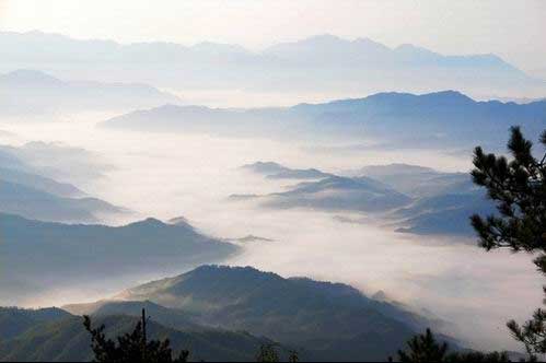 �������ɽ�ƺ�