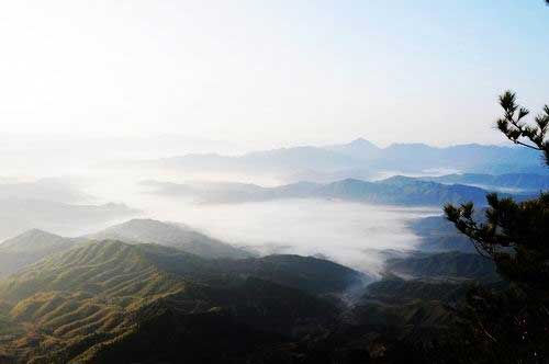 �������ɽ�ƺ�