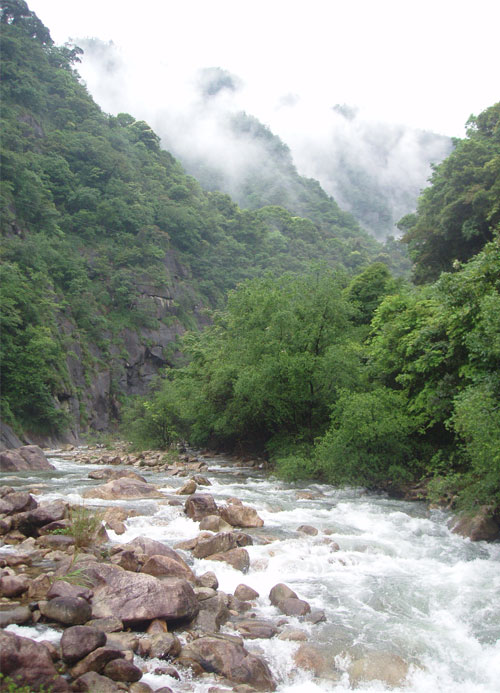 Ҫ�������������Ҷ����ʵ���÷��ּ��ֹ���