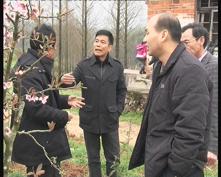 ������������Э���ҿ���ľ�Ϻ���ҵ�ӹ����