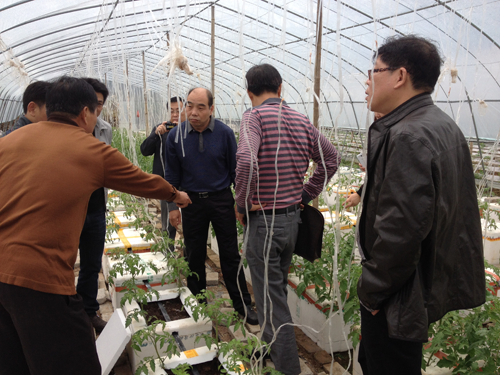 县政协经济界委员到莆田考察无土栽培蔬菜大棚基地