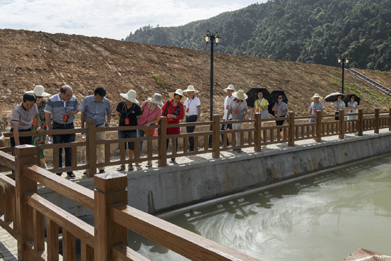 ����Э��չ���绷���ۺ����ι����Ӳ�