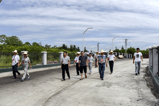 ����Э��չ���绷���ۺ����ι����Ӳ�