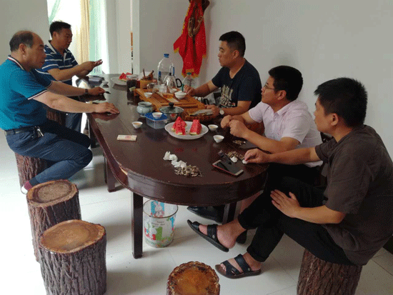 ����Э��֯��չ���ҵ����ص��᰸����