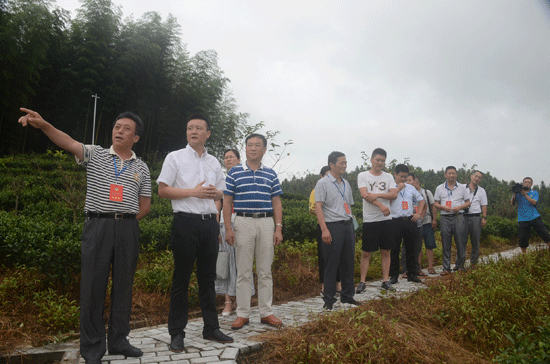 县政协启动有机食品产业发展专题调研