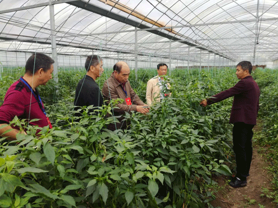 ����Э��չ���ӿ������ִ�ũҵʾ��԰���裬�ƶ���ͳũҵ����ʩũҵת�����Կ�Э��